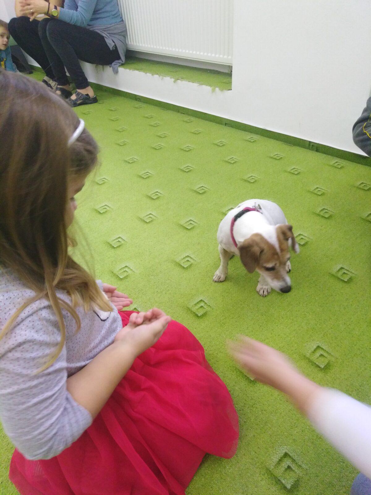 Projektový den v MŠ: AGILITY - 29