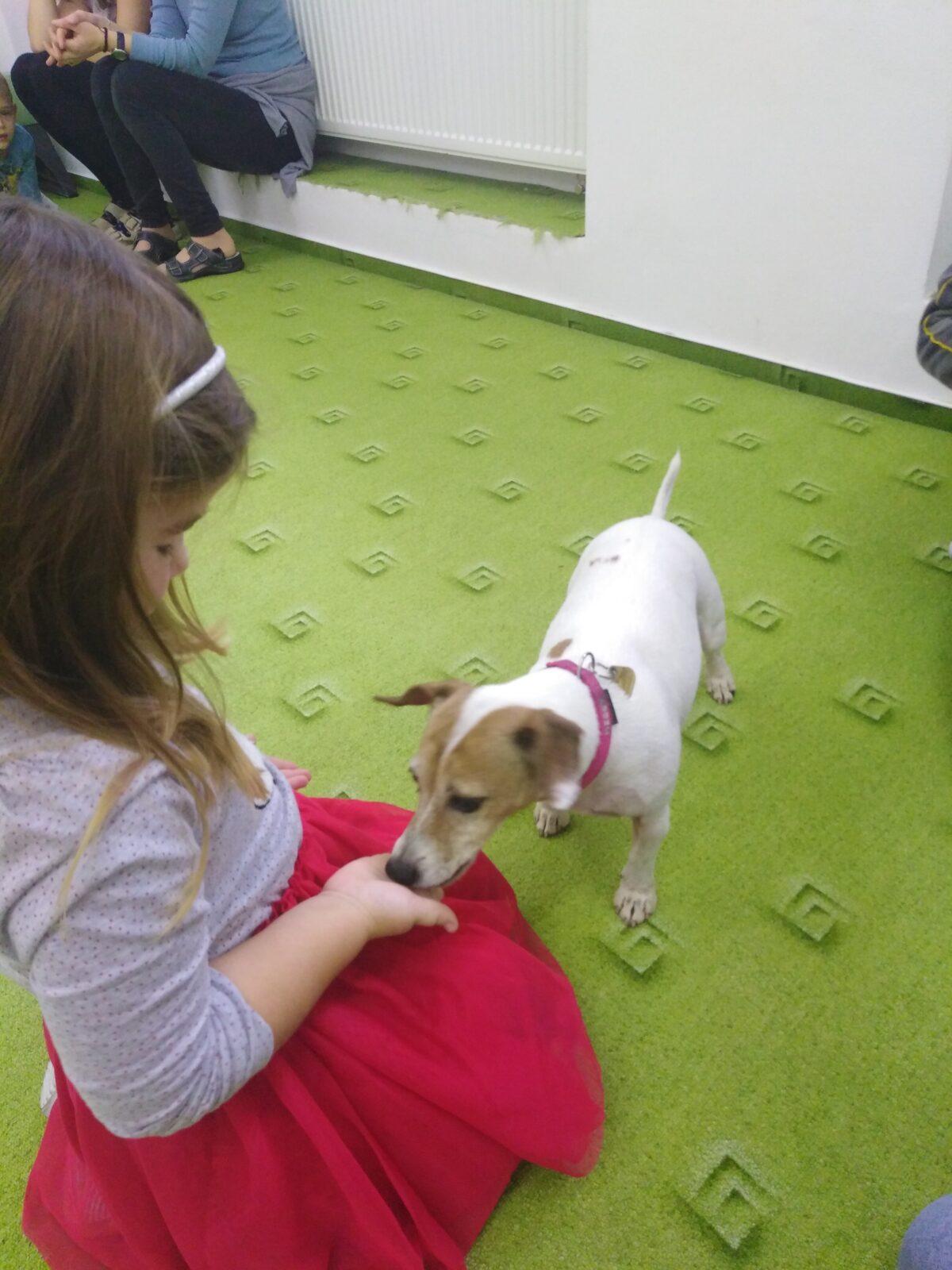 Projektový den v MŠ: AGILITY - 30