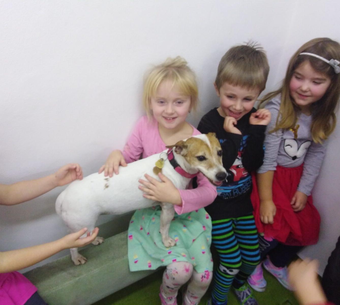 Projektový den v MŠ: AGILITY - 31