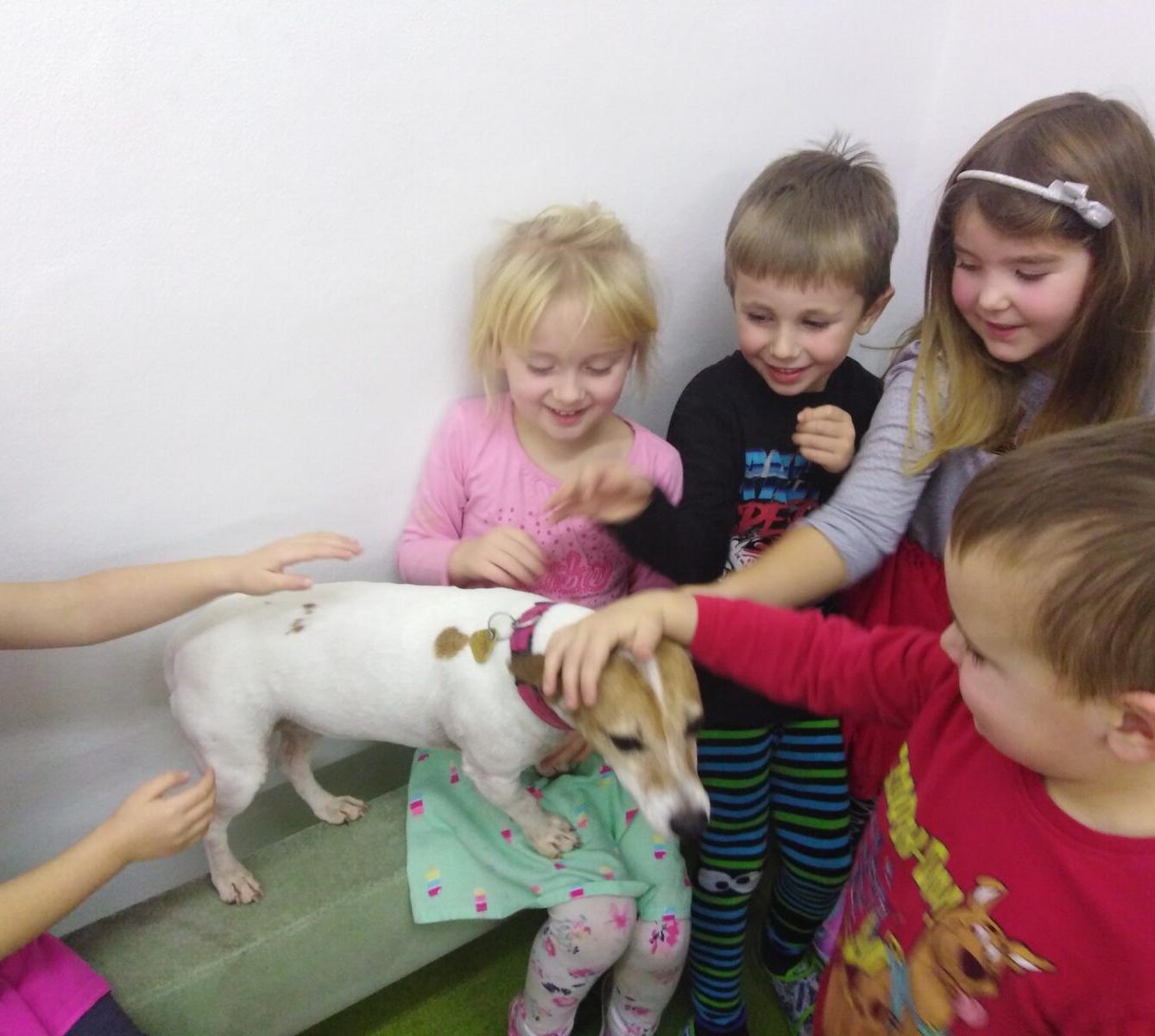 Projektový den v MŠ: AGILITY - 32