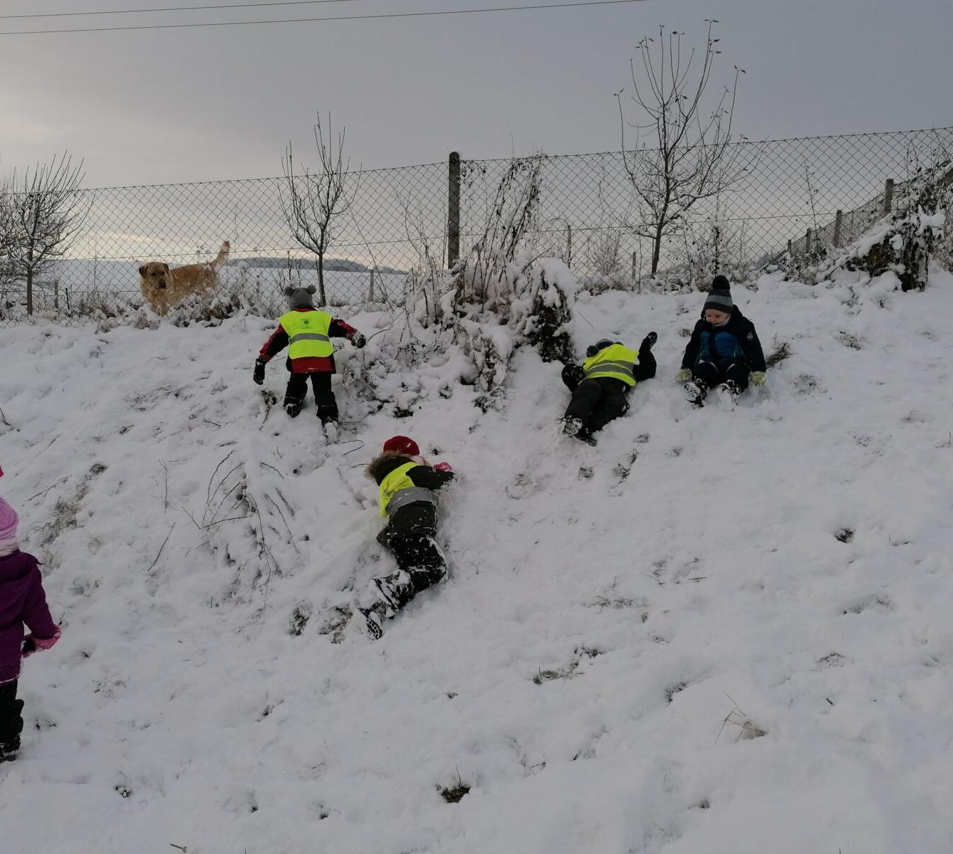 Konečně sníh!! užíváme si ho ze všech sil:-) - 37