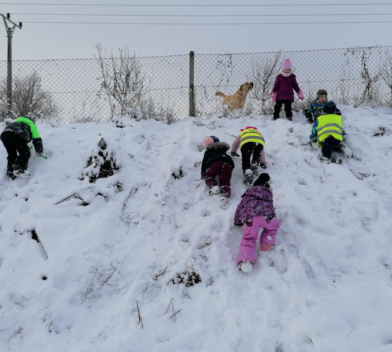 Konečně sníh!! užíváme si ho ze všech sil:-) - 41