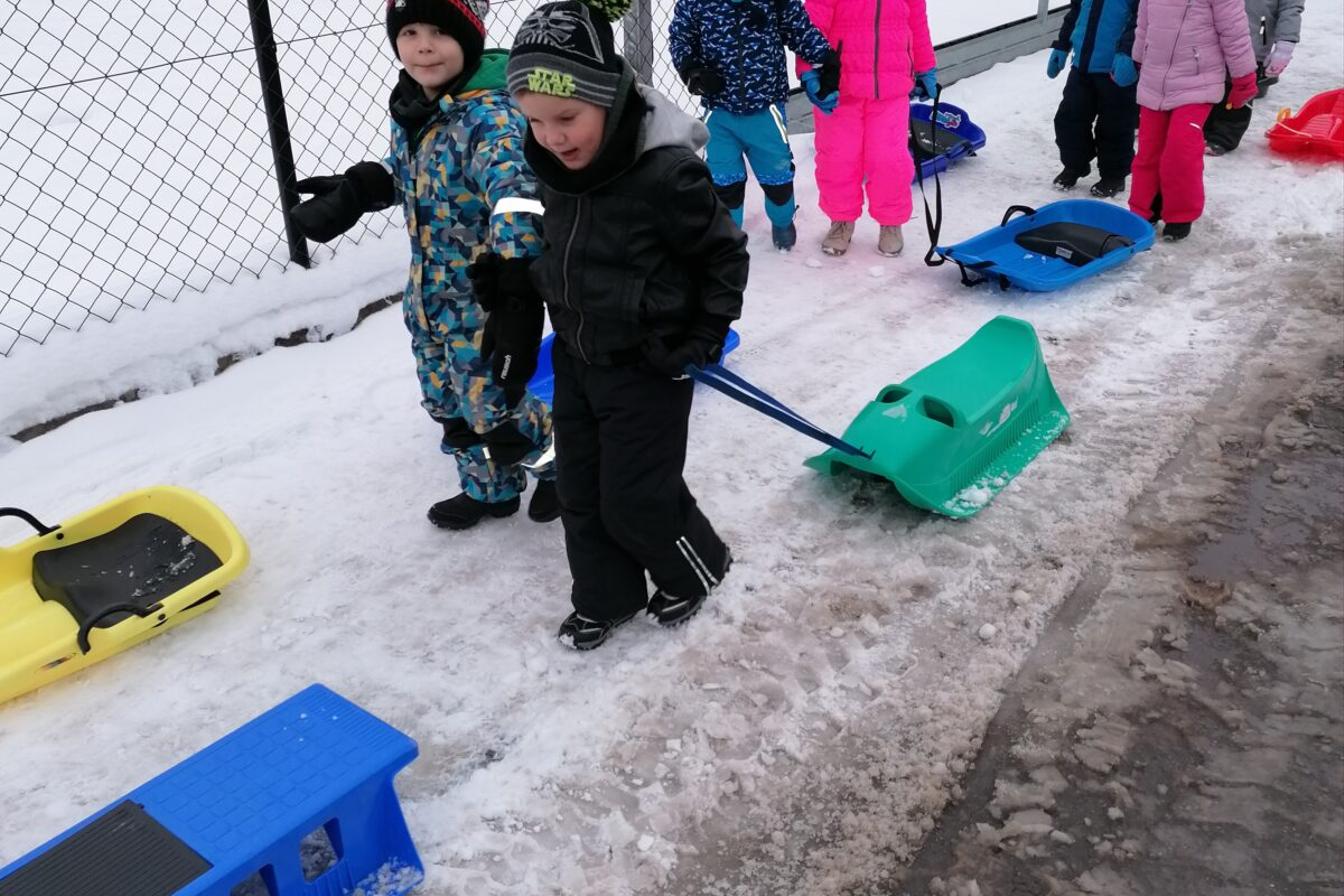 ZIMNÍ OLYMPIJSKÉ HRY V MŠ III. (závody "bobů" a "spřežení" :-))