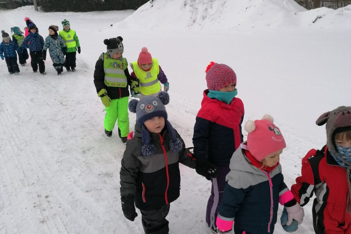 Pomáháme zvířátkům v zimě:-)