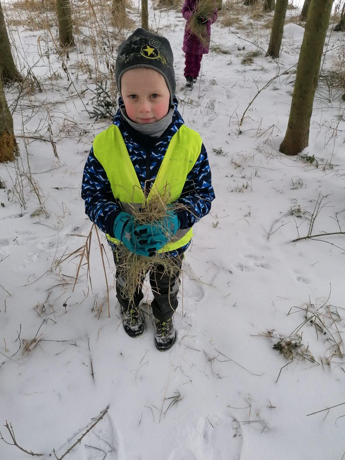 Pomáháme zvířátkům v zimě:-) - 7