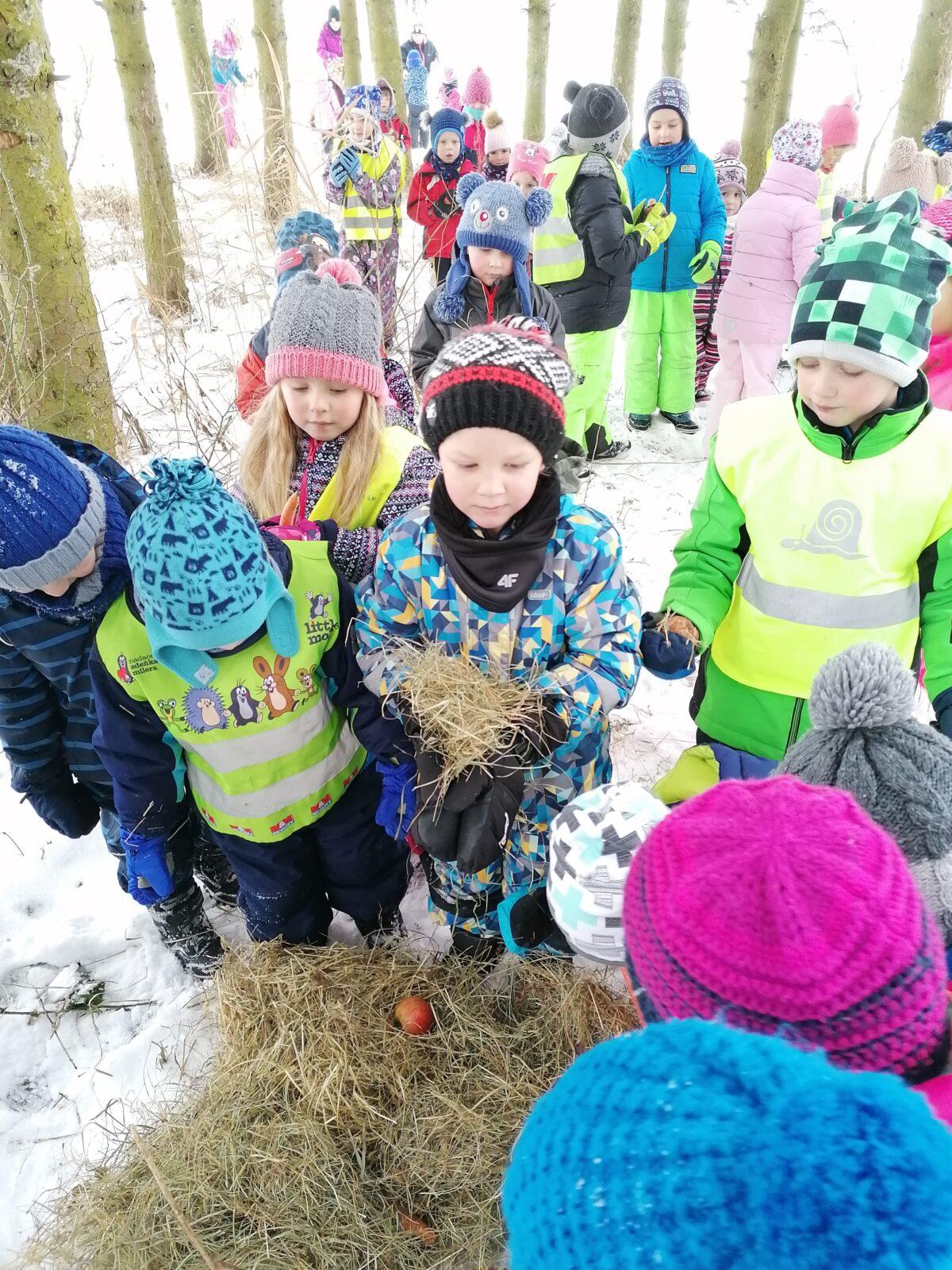 Pomáháme zvířátkům v zimě:-) - 17