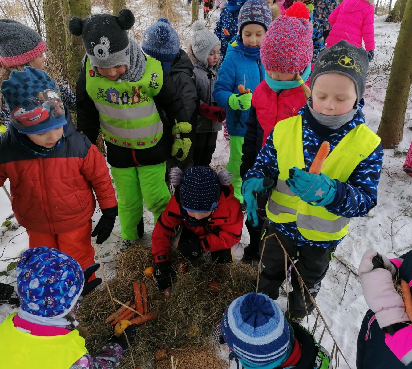 Pomáháme zvířátkům v zimě:-) - 18