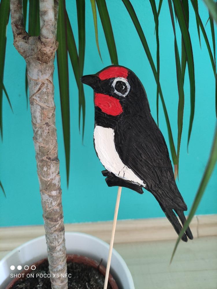 Spojení přírodopisu s pracovními činnostmi u sedmáků - 8