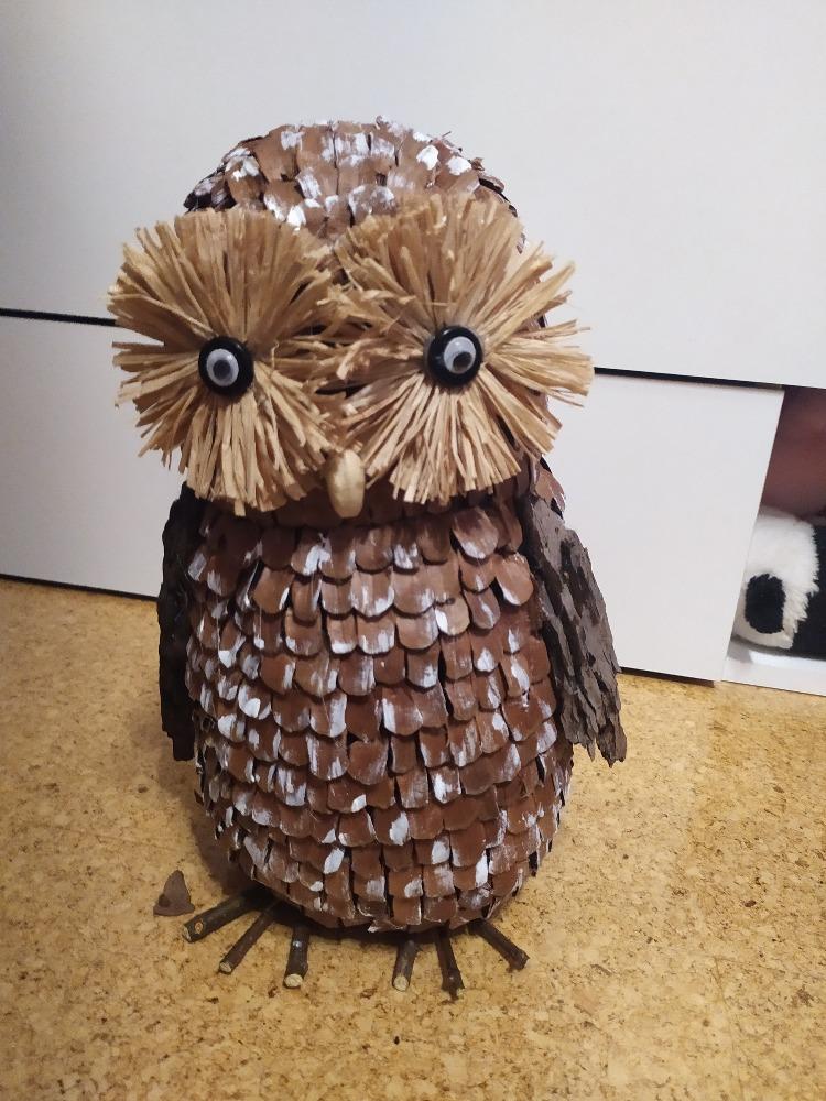 Spojení přírodopisu s pracovními činnostmi u sedmáků - 11