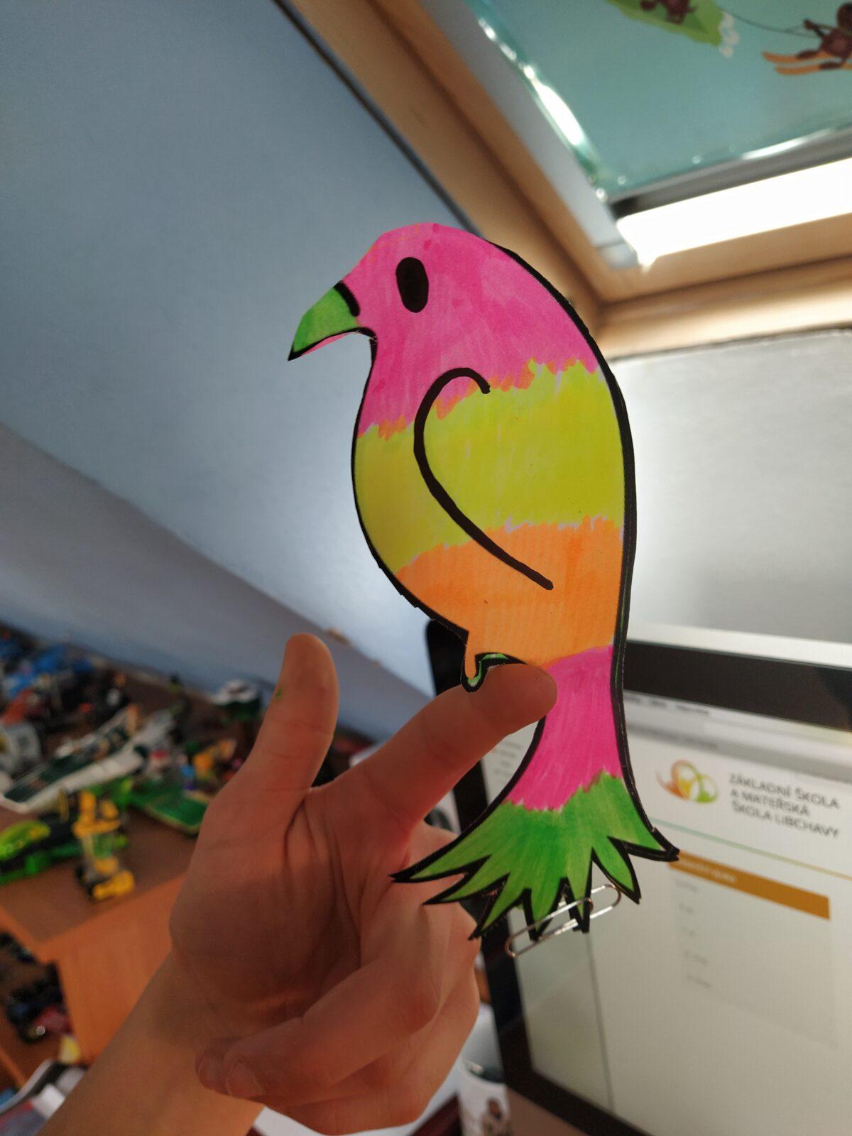 Papoušek na prstu - sedmáci - 8