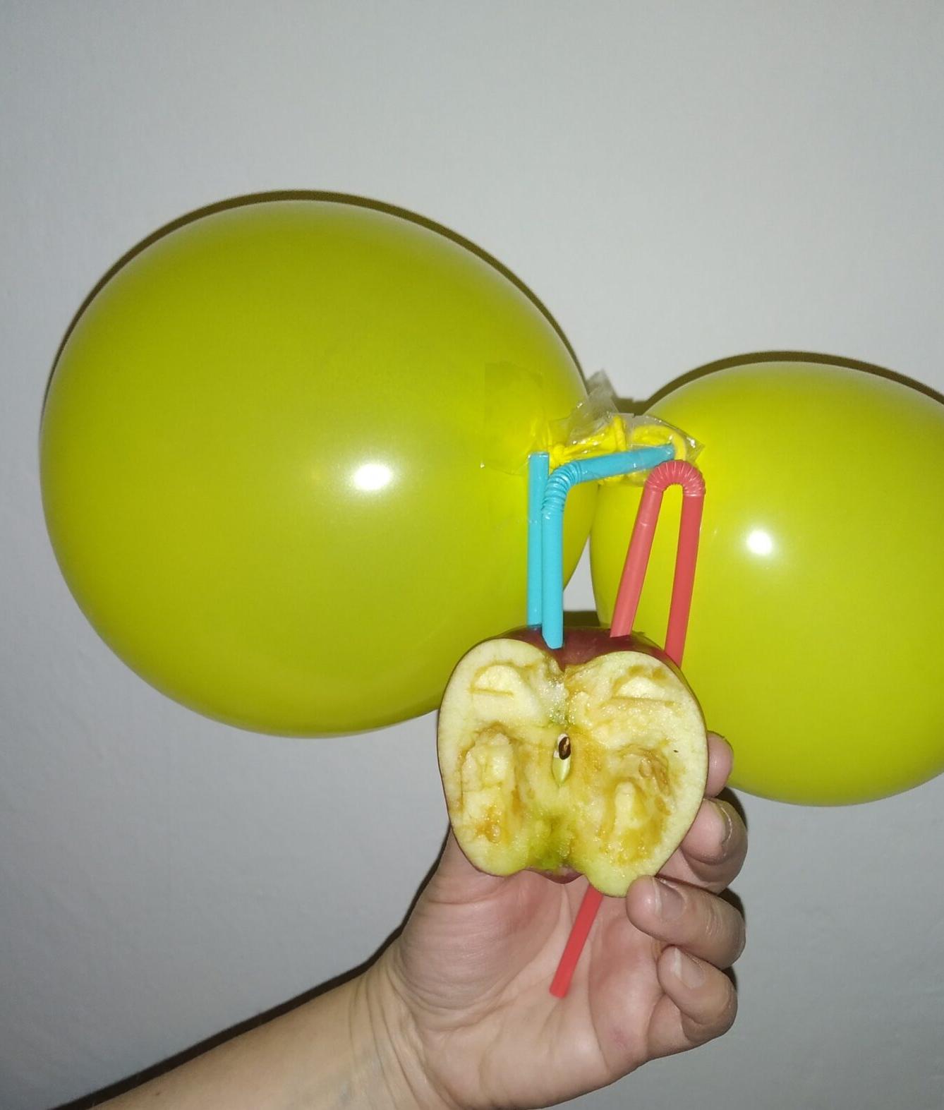 Biologie člověka - 8. třída - 5