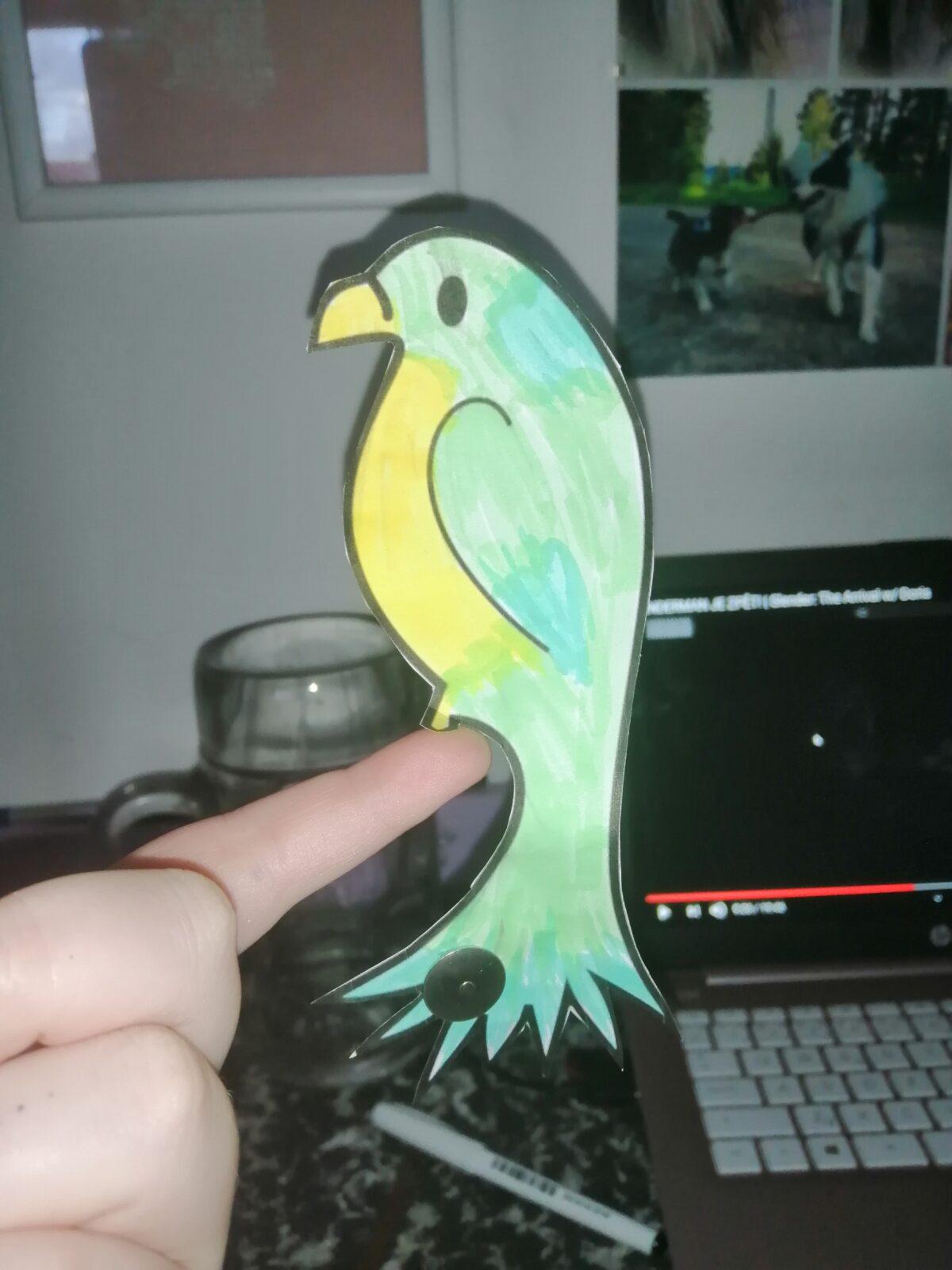 Papoušek na prstu - sedmáci - 11