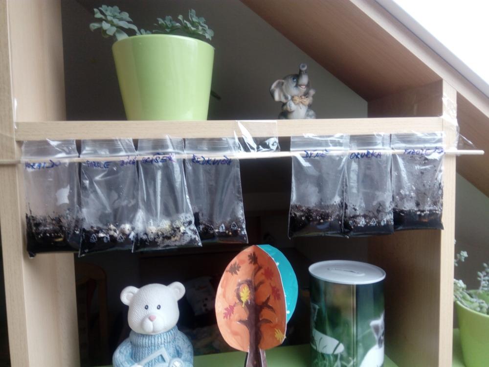 Distanční výuka v MŠ Kamarád (Jaro přišlo do vsi - předškoláci) :-) - 21