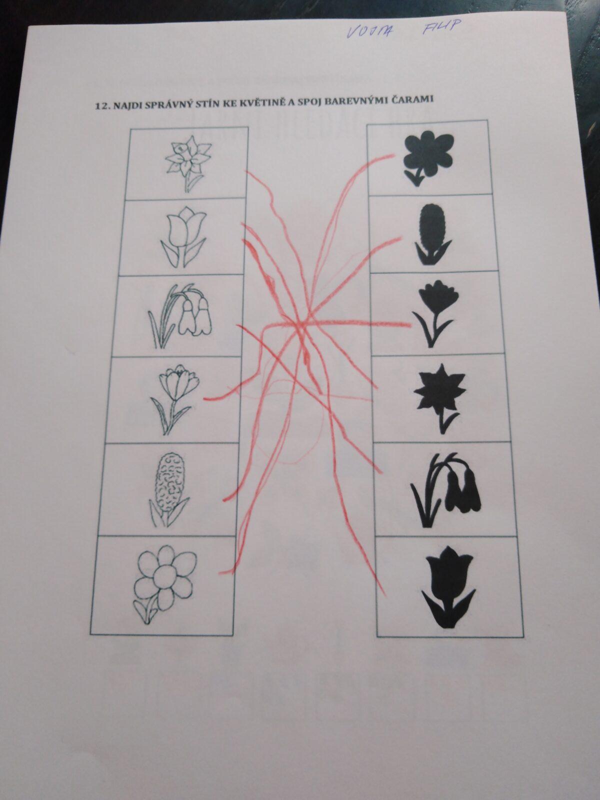 Distanční výuka v MŠ Kamarád (Jaro přišlo do vsi - předškoláci) :-) - 24