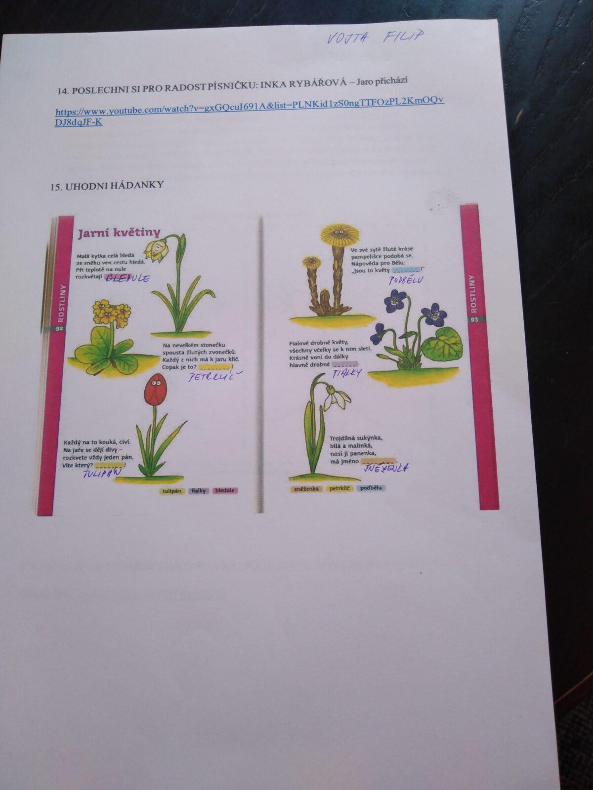Distanční výuka v MŠ Kamarád (Jaro přišlo do vsi - předškoláci) :-) - 28