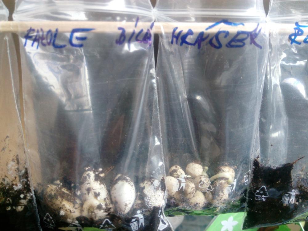 Distanční výuka v MŠ Kamarád (Jaro přišlo do vsi - předškoláci) :-) - 48