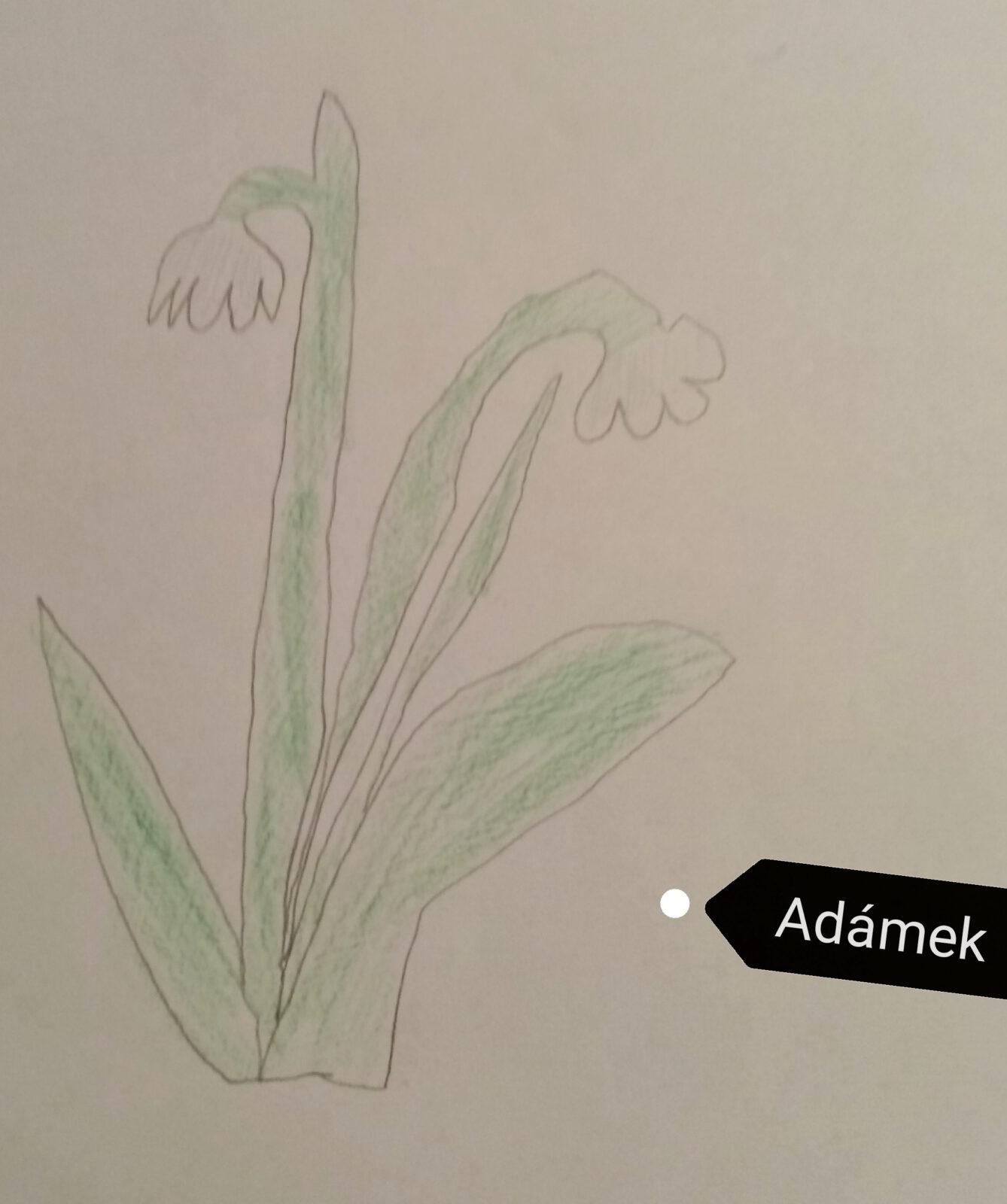 21. 3. Distanční výuka u prvňáčků - 18