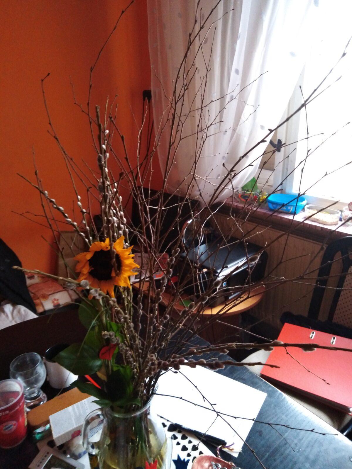 DISTANČNÍ VÝUKA V MŠ KAMARÁD (O třech zakletých stromech)- předškoláci - 12