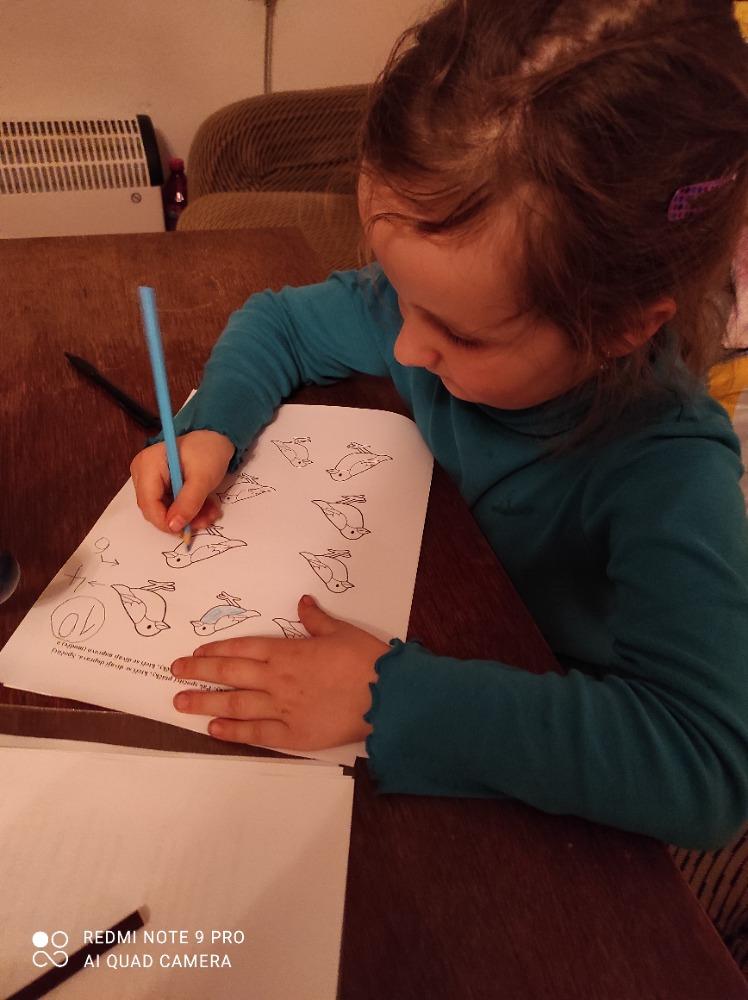 DISTANČNÍ VÝUKA V MŠ KAMARÁD (O třech zakletých stromech)- předškoláci - 13