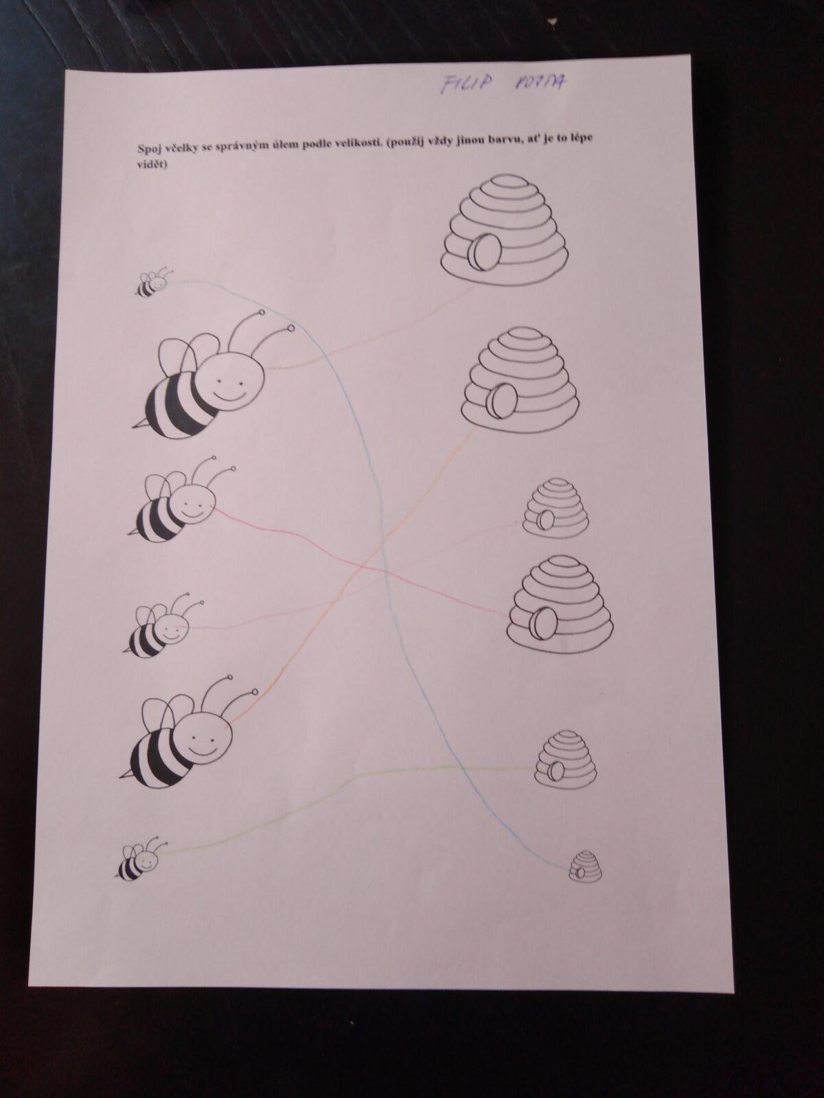 DISTANČNÍ VÝUKA V MŠ KAMARÁD (O třech zakletých stromech)- předškoláci - 23