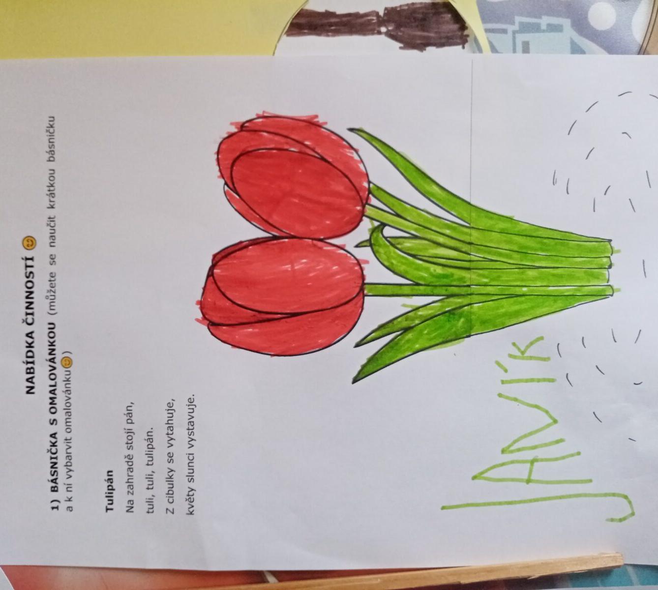 Distanční výuka - "Jarní louka, pole" (mladší děti) :-) - 9