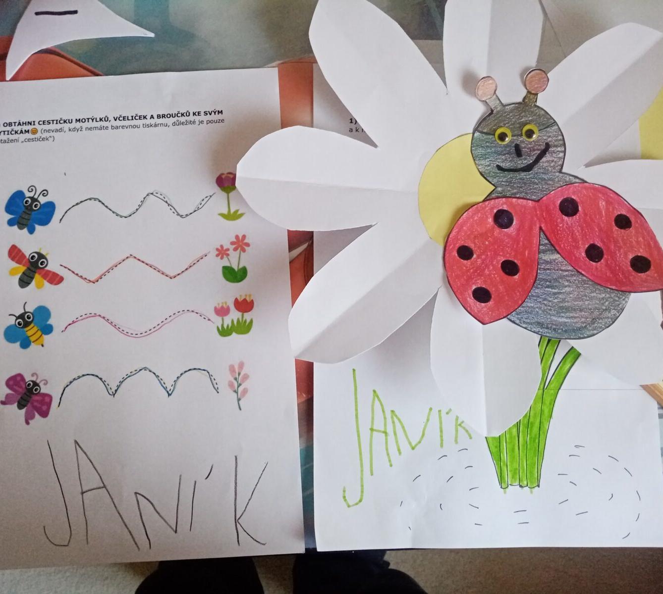 Distanční výuka - "Jarní louka, pole" (mladší děti) :-) - 10