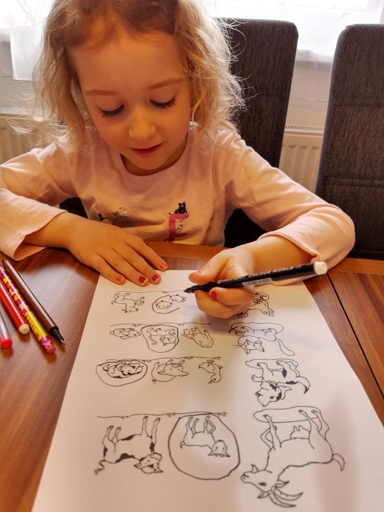 Distanční výuka - "Máme rádi zvířata I." (mladší děti) :-) - 5