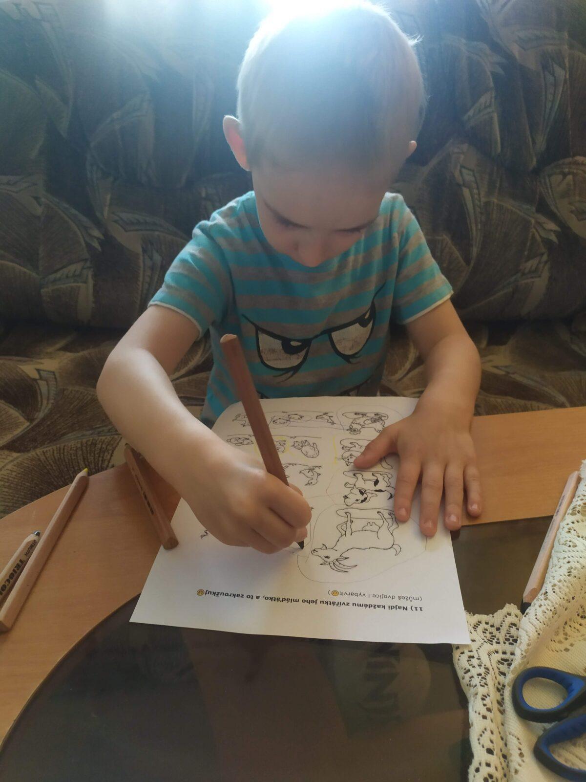 Distanční výuka - "Máme rádi zvířata I." (mladší děti) :-) - 8