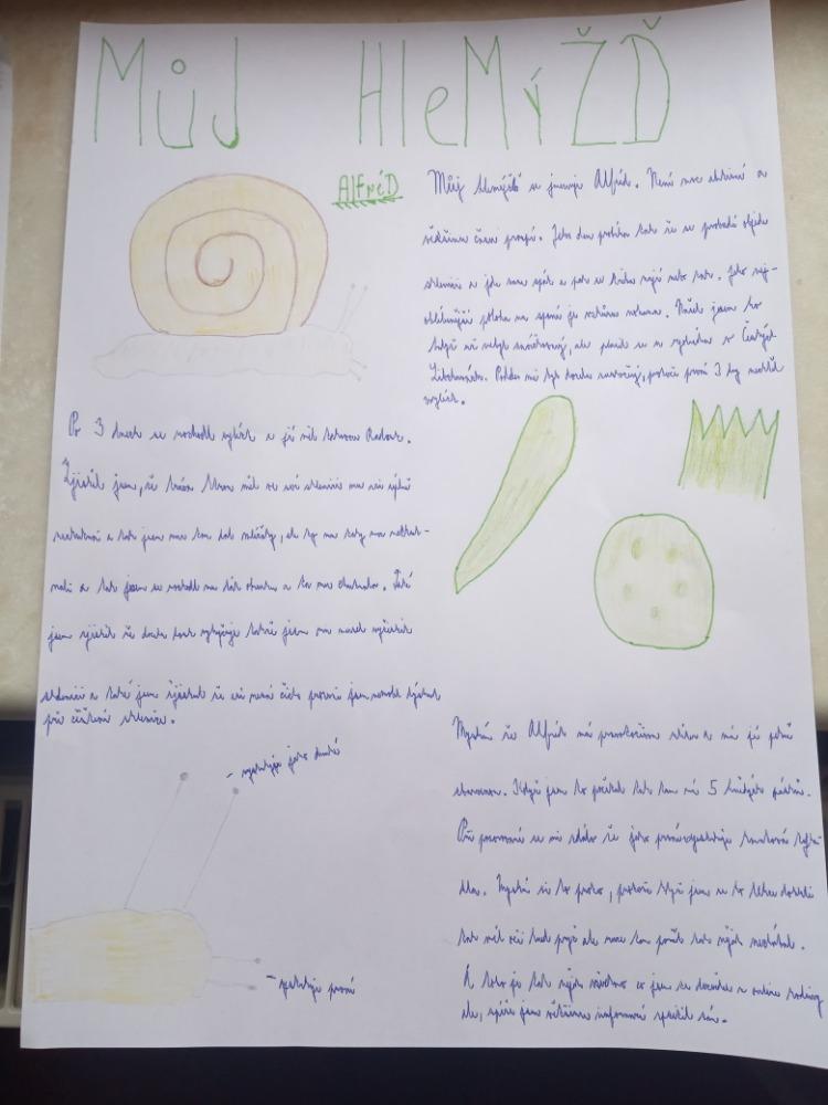 Projekt "Hlemýžď" v 6. třídě - 3