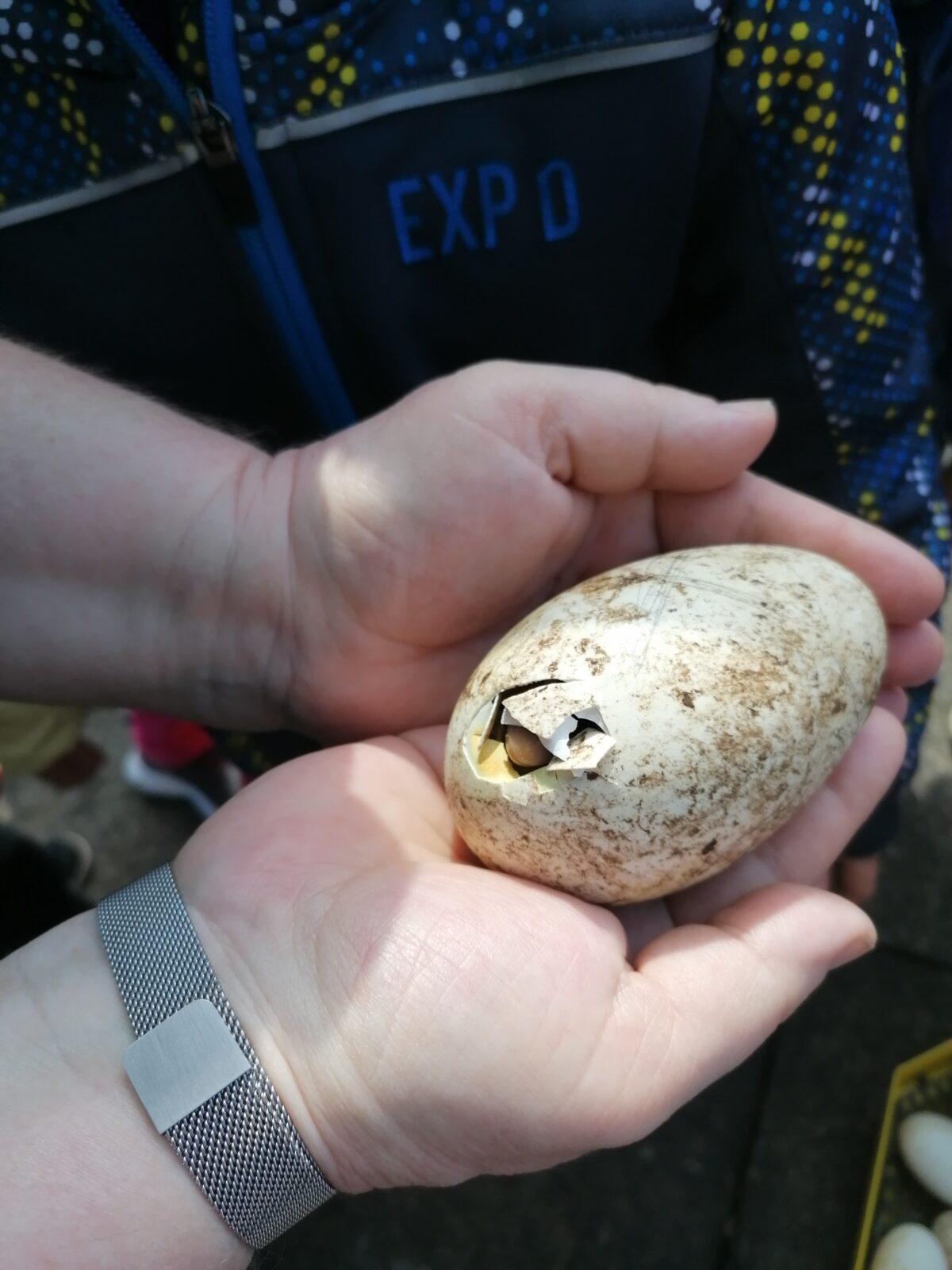 Vycházka "máme rádi zvířata" - 2