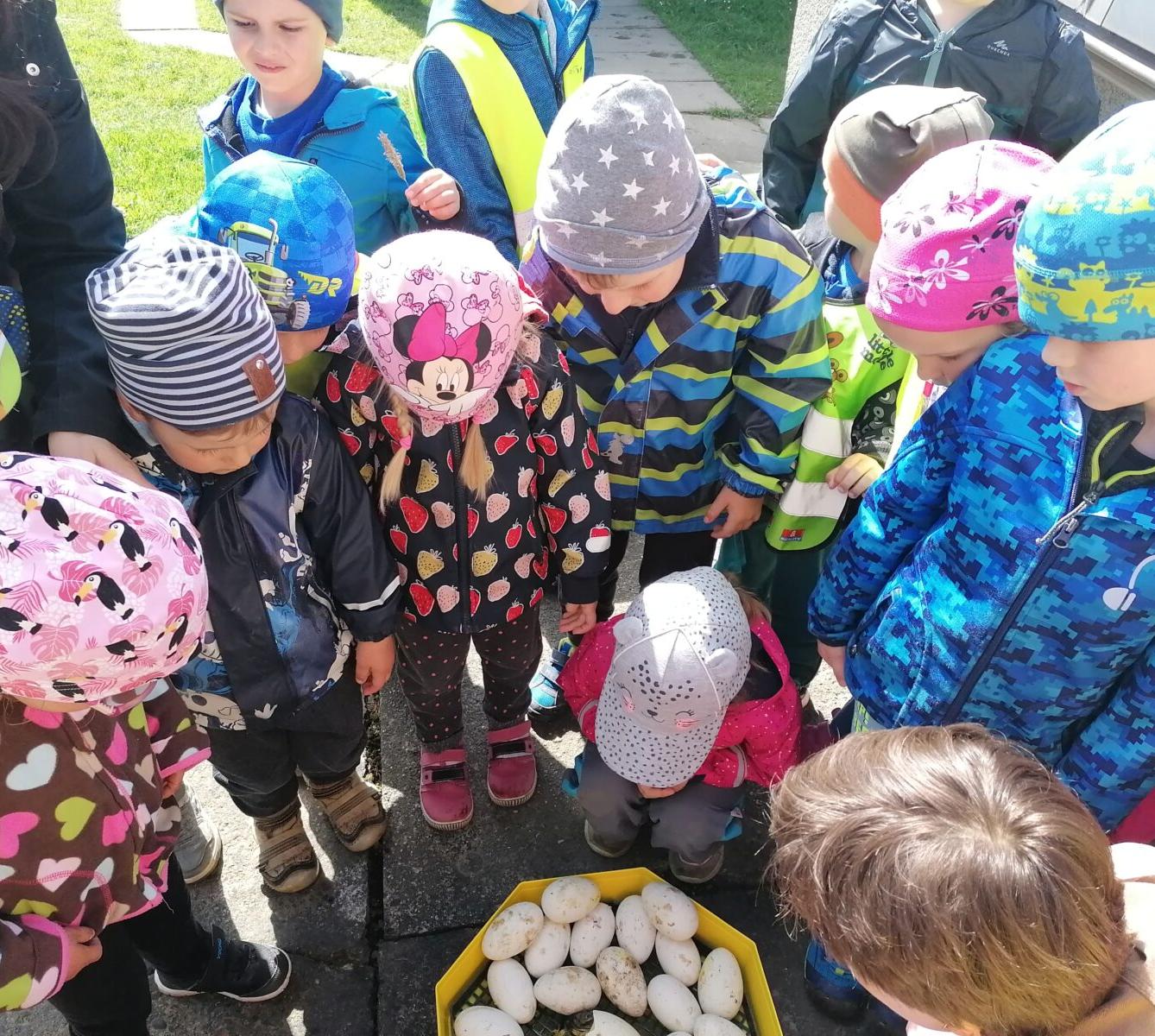 Vycházka "máme rádi zvířata" - 5