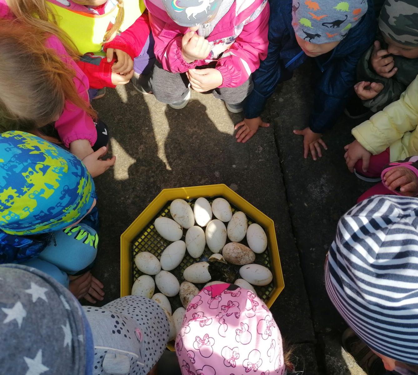 Vycházka "máme rádi zvířata" - 7