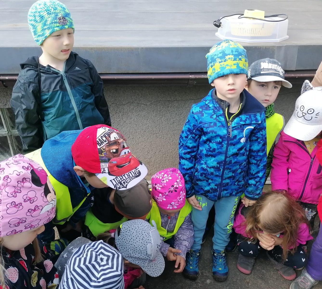 Vycházka "máme rádi zvířata" - 8