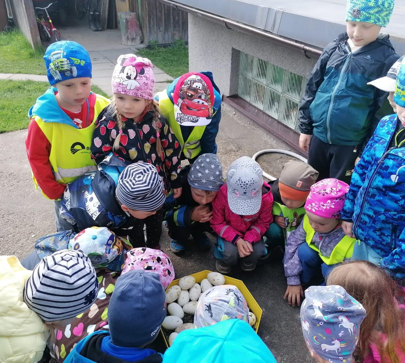 Vycházka "máme rádi zvířata" - 9