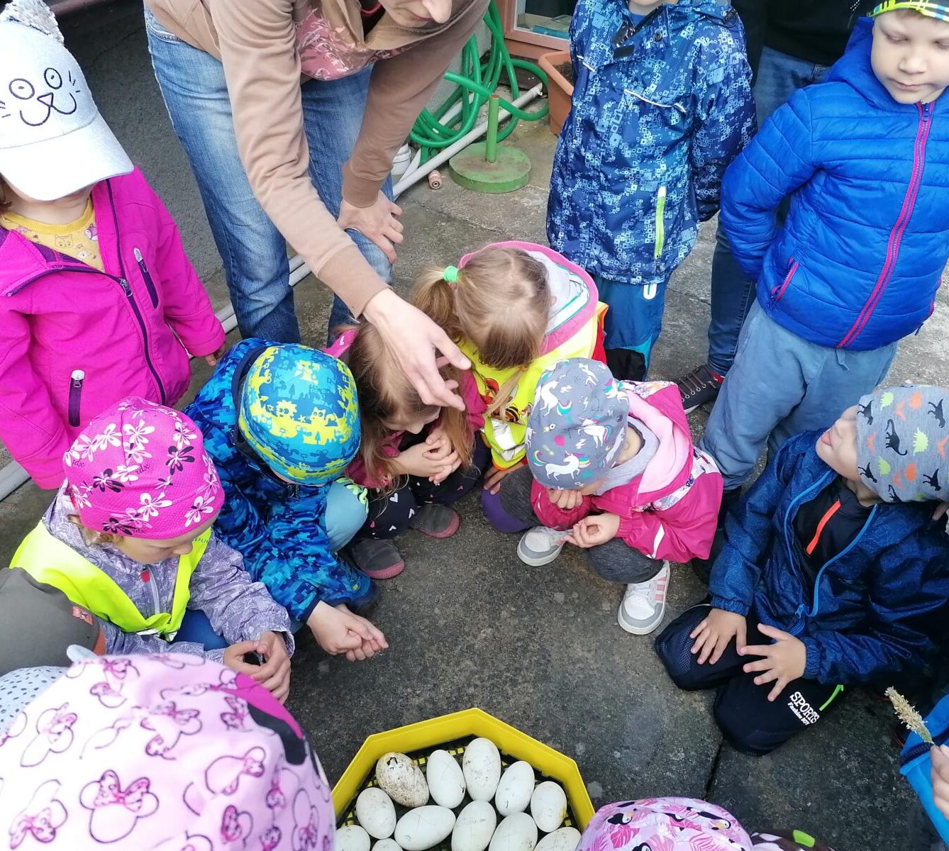 Vycházka "máme rádi zvířata" - 10