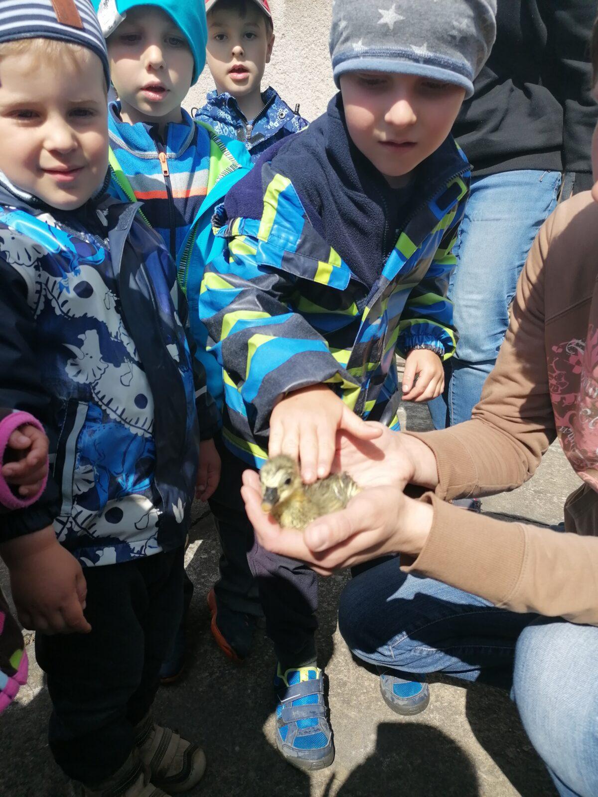 Vycházka "máme rádi zvířata" - 28