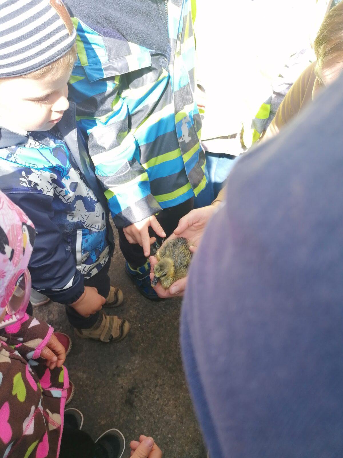 Vycházka "máme rádi zvířata" - 29