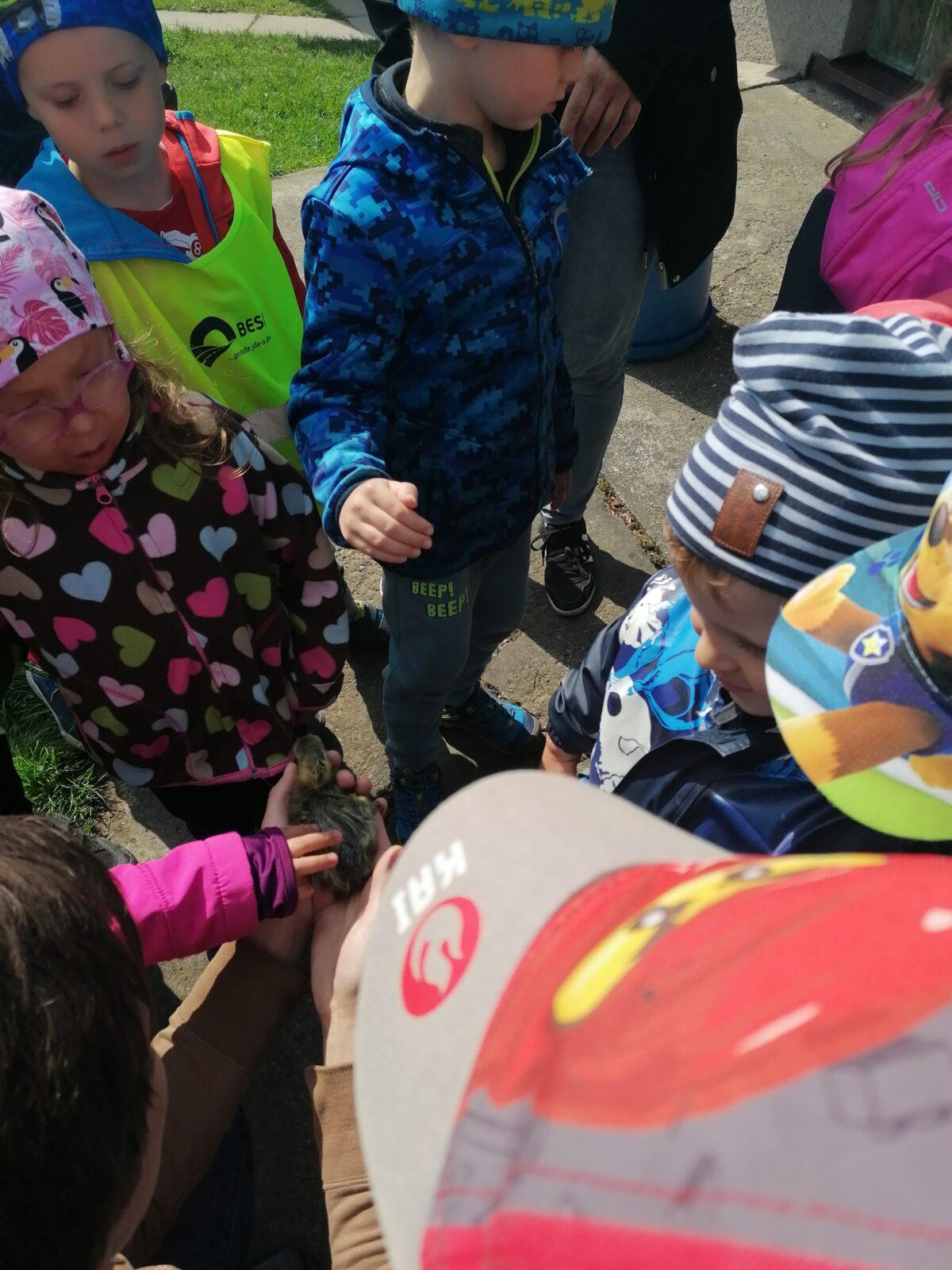 Vycházka "máme rádi zvířata" - 30