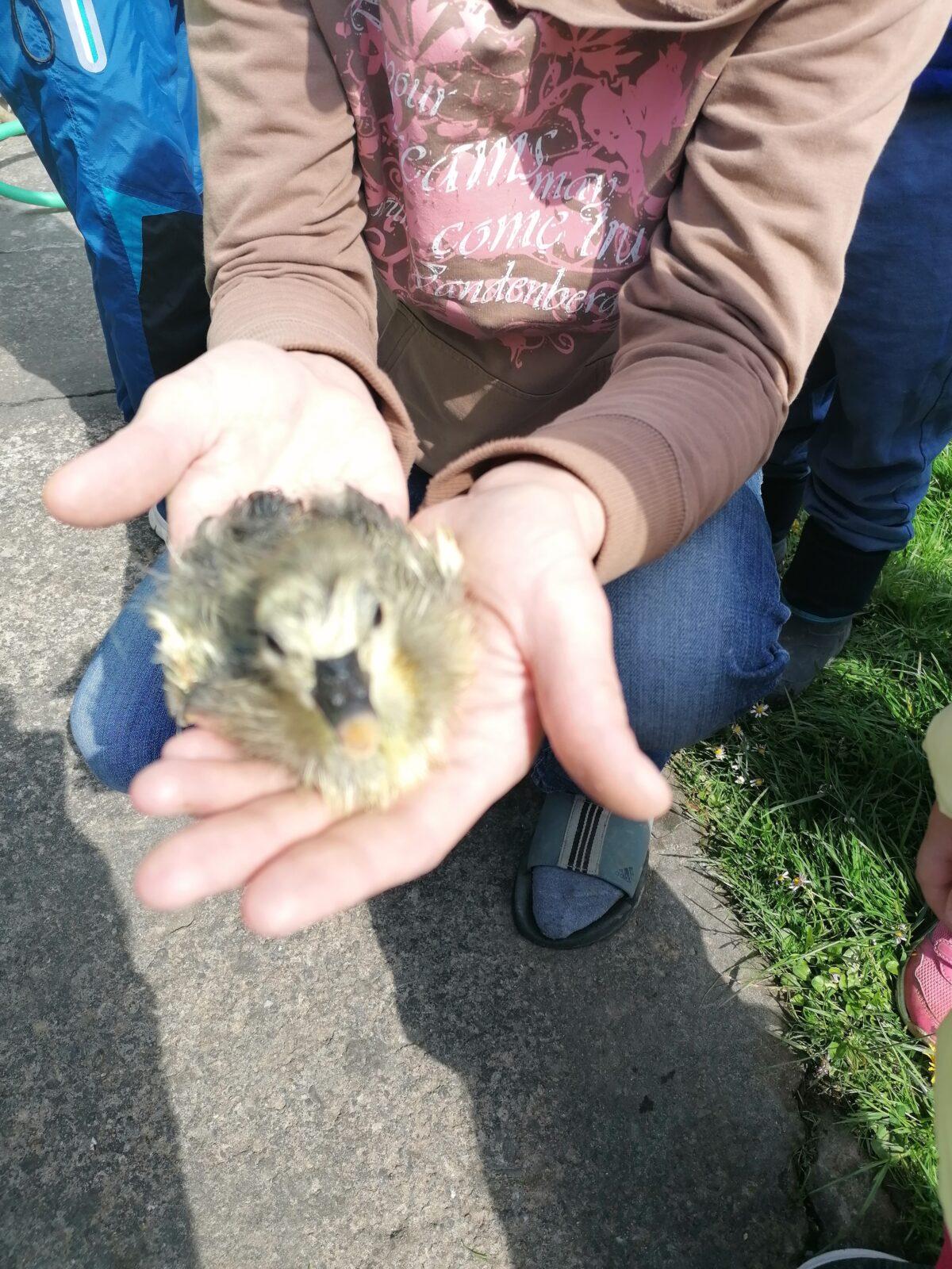 Vycházka "máme rádi zvířata" - 32