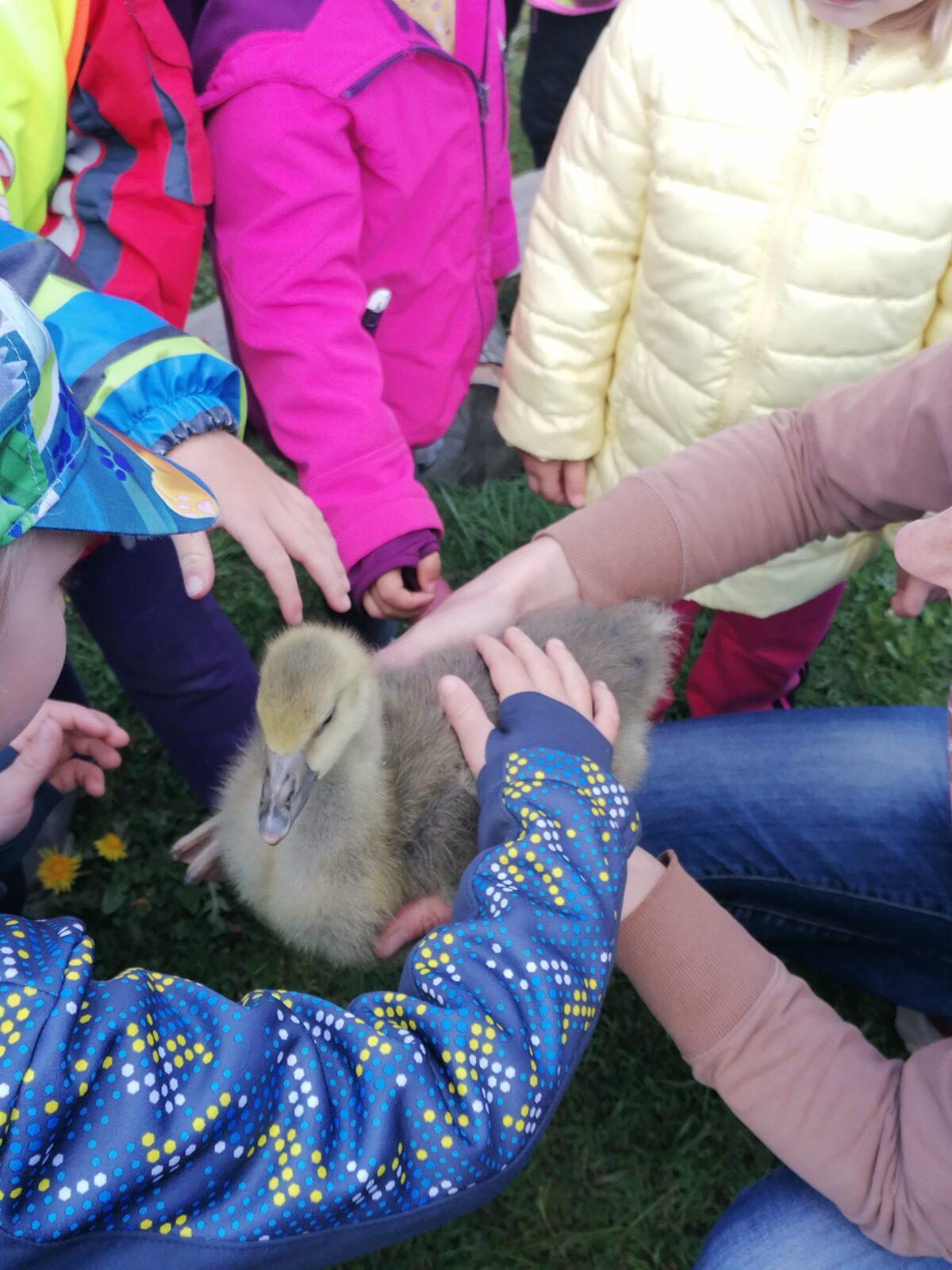 Vycházka "máme rádi zvířata" - 36