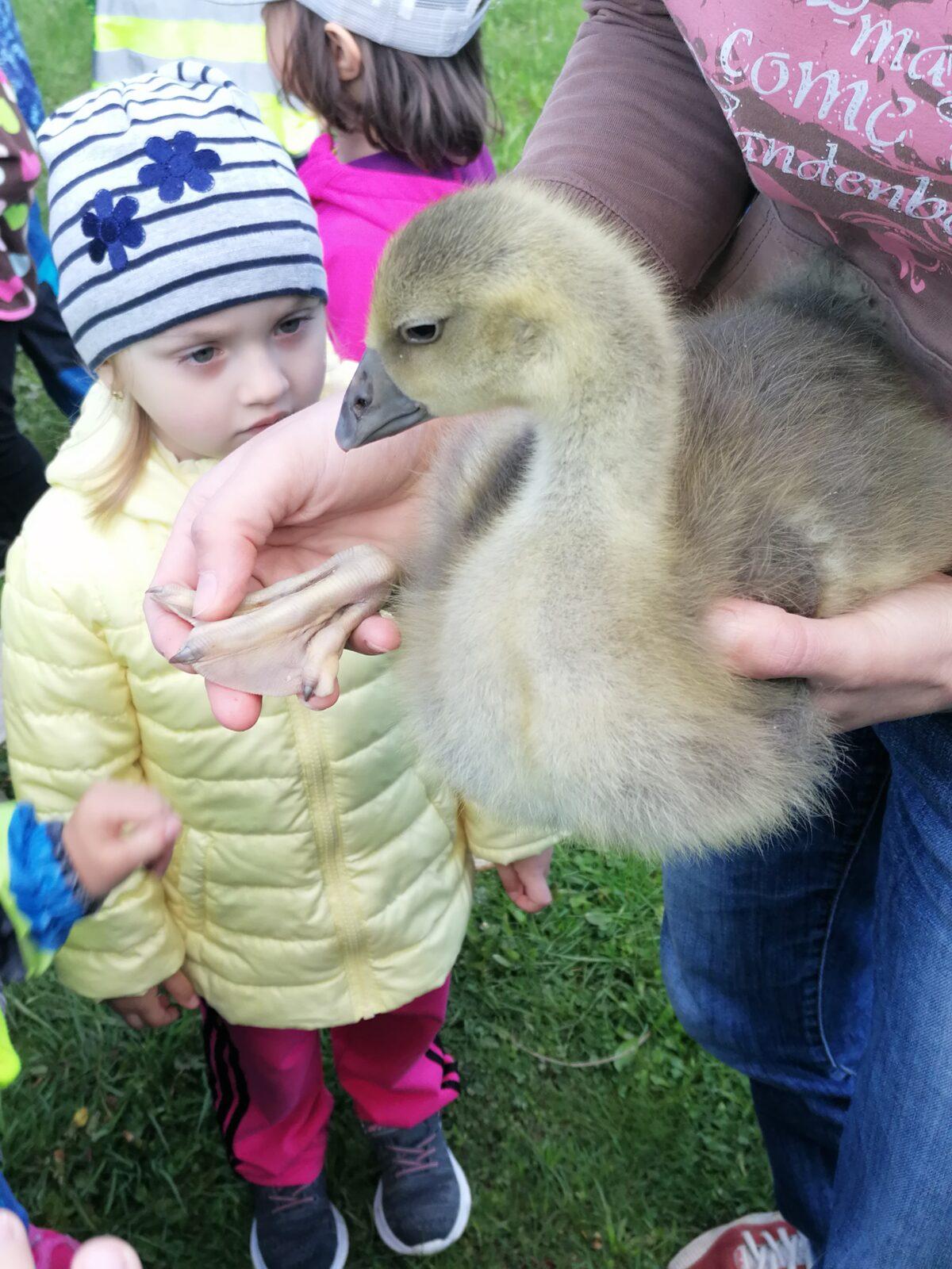 Vycházka "máme rádi zvířata" - 37