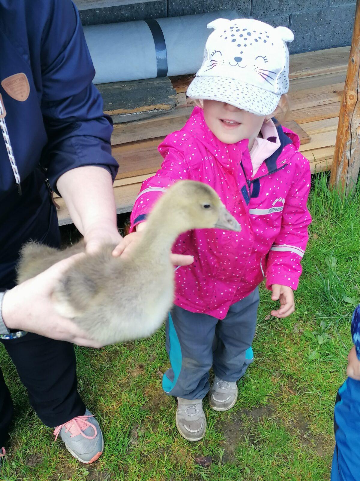 Vycházka "máme rádi zvířata" - 38