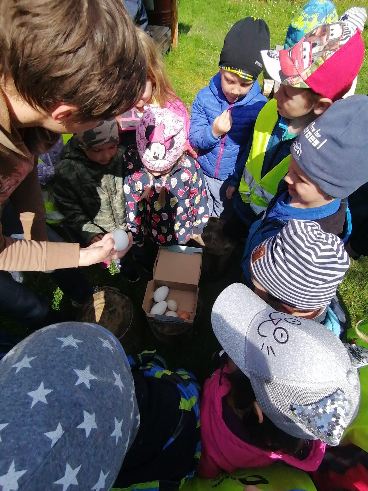 Vycházka "máme rádi zvířata" - 43