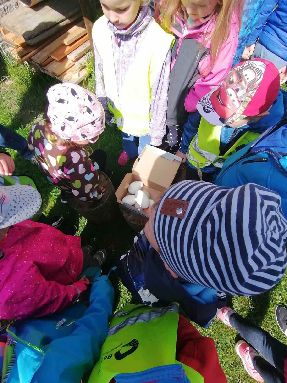 Vycházka "máme rádi zvířata" - 44