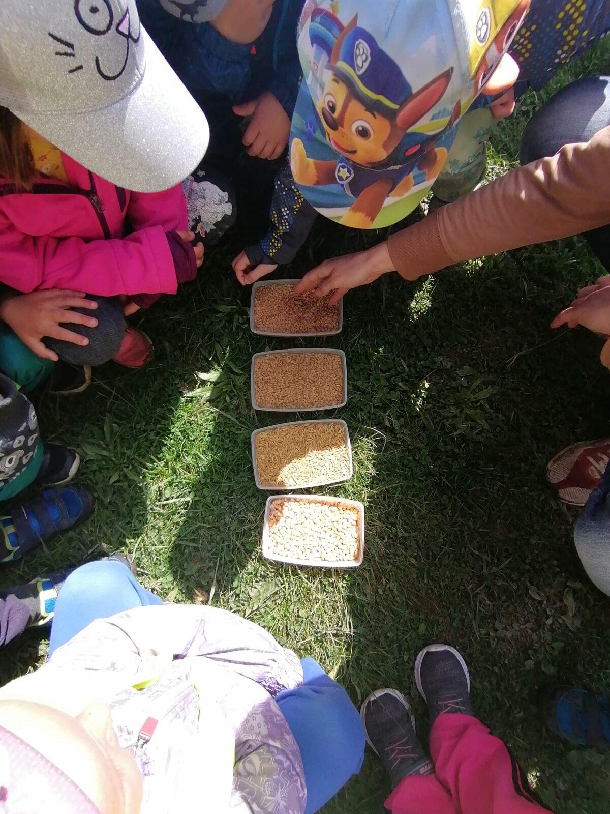 Vycházka "máme rádi zvířata" - 45