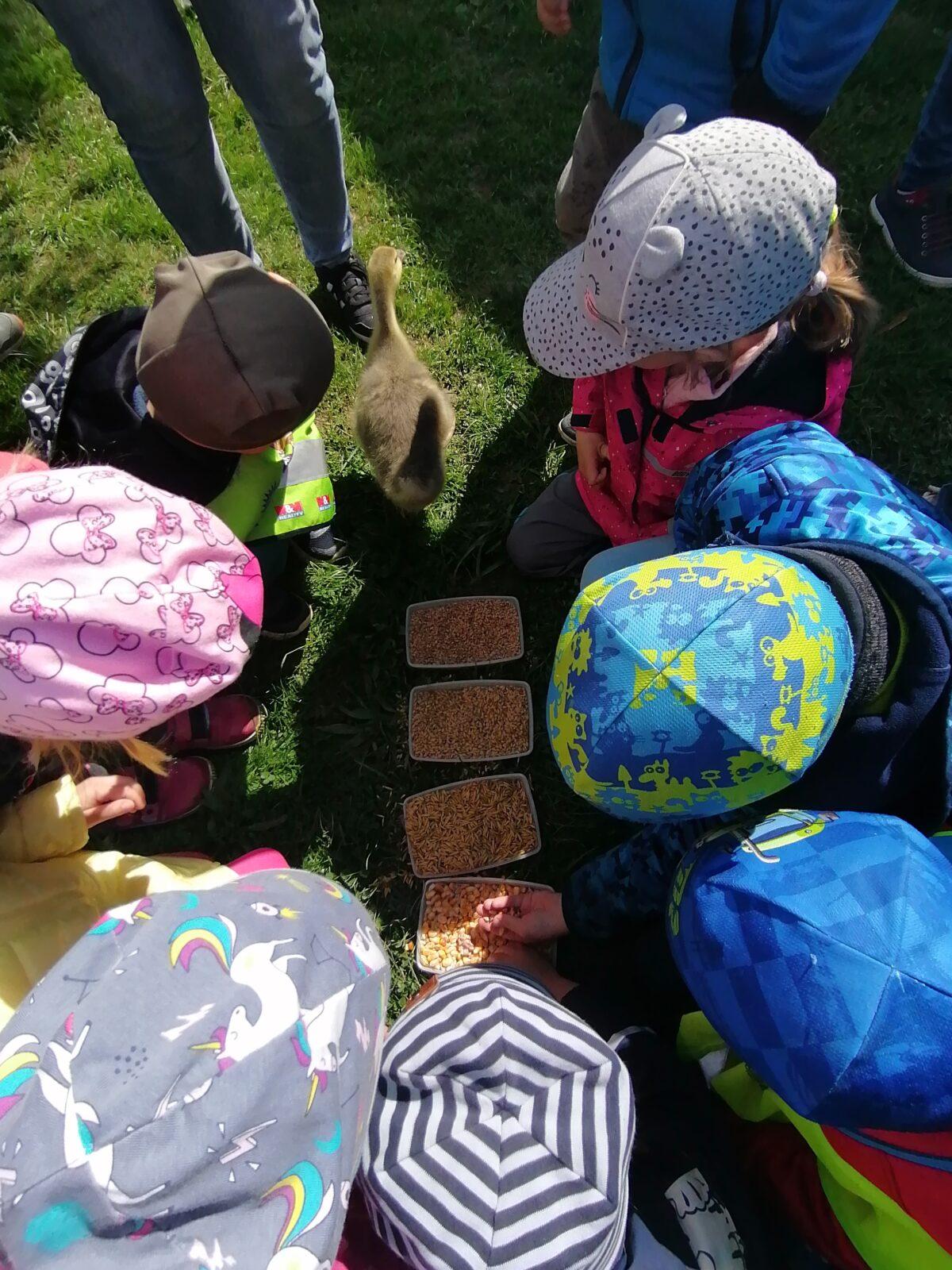 Vycházka "máme rádi zvířata" - 46