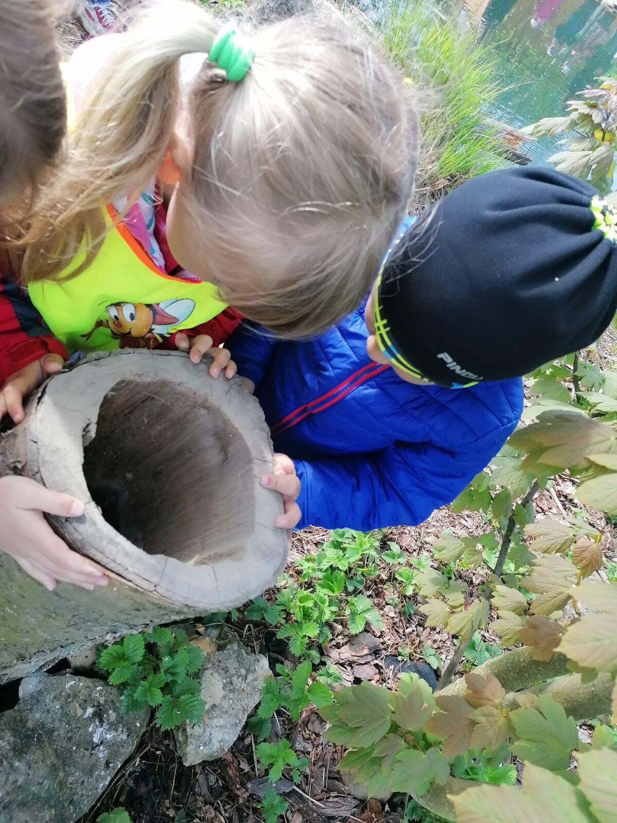 Vycházka "máme rádi zvířata" - 47