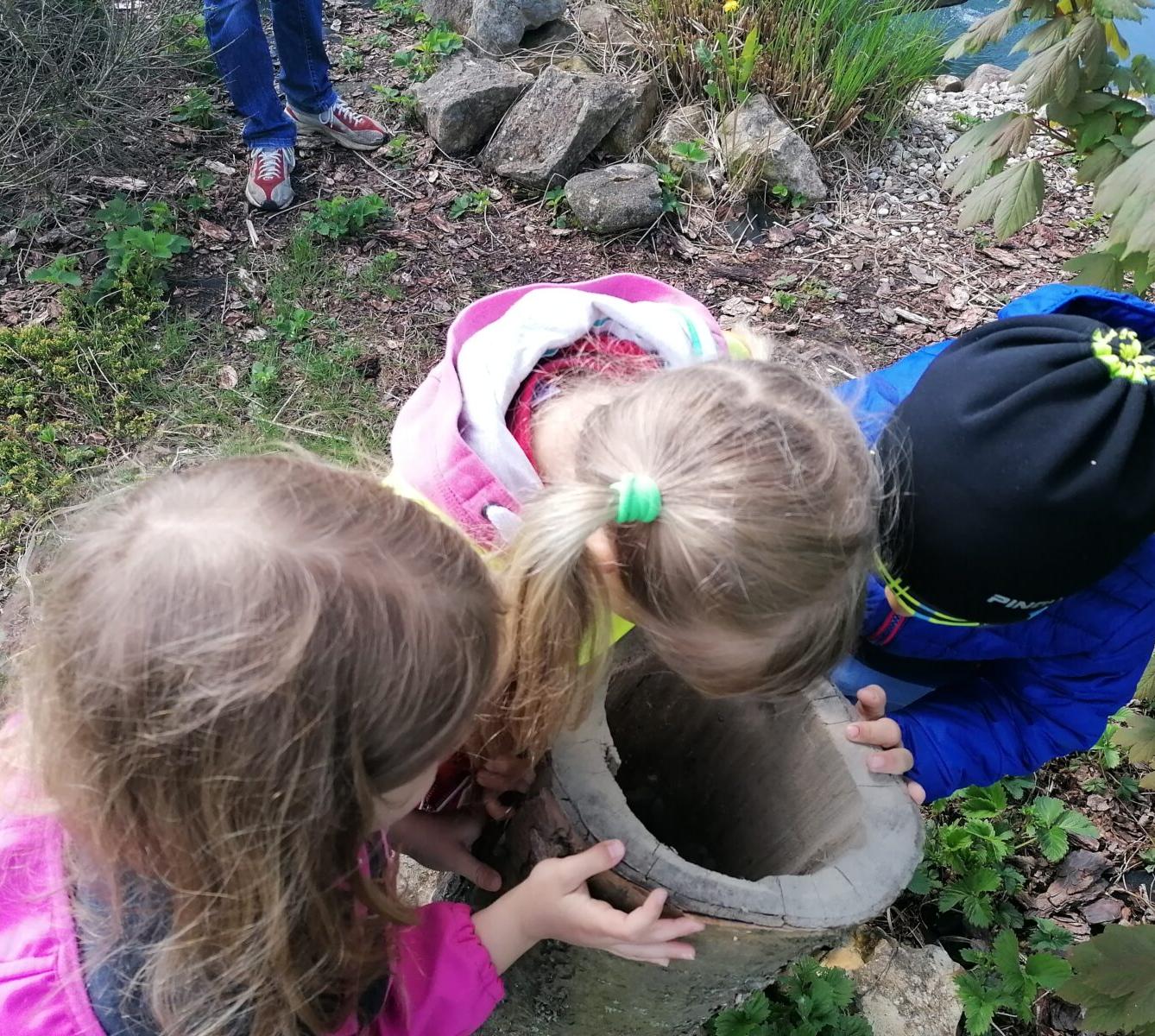 Vycházka "máme rádi zvířata" - 48