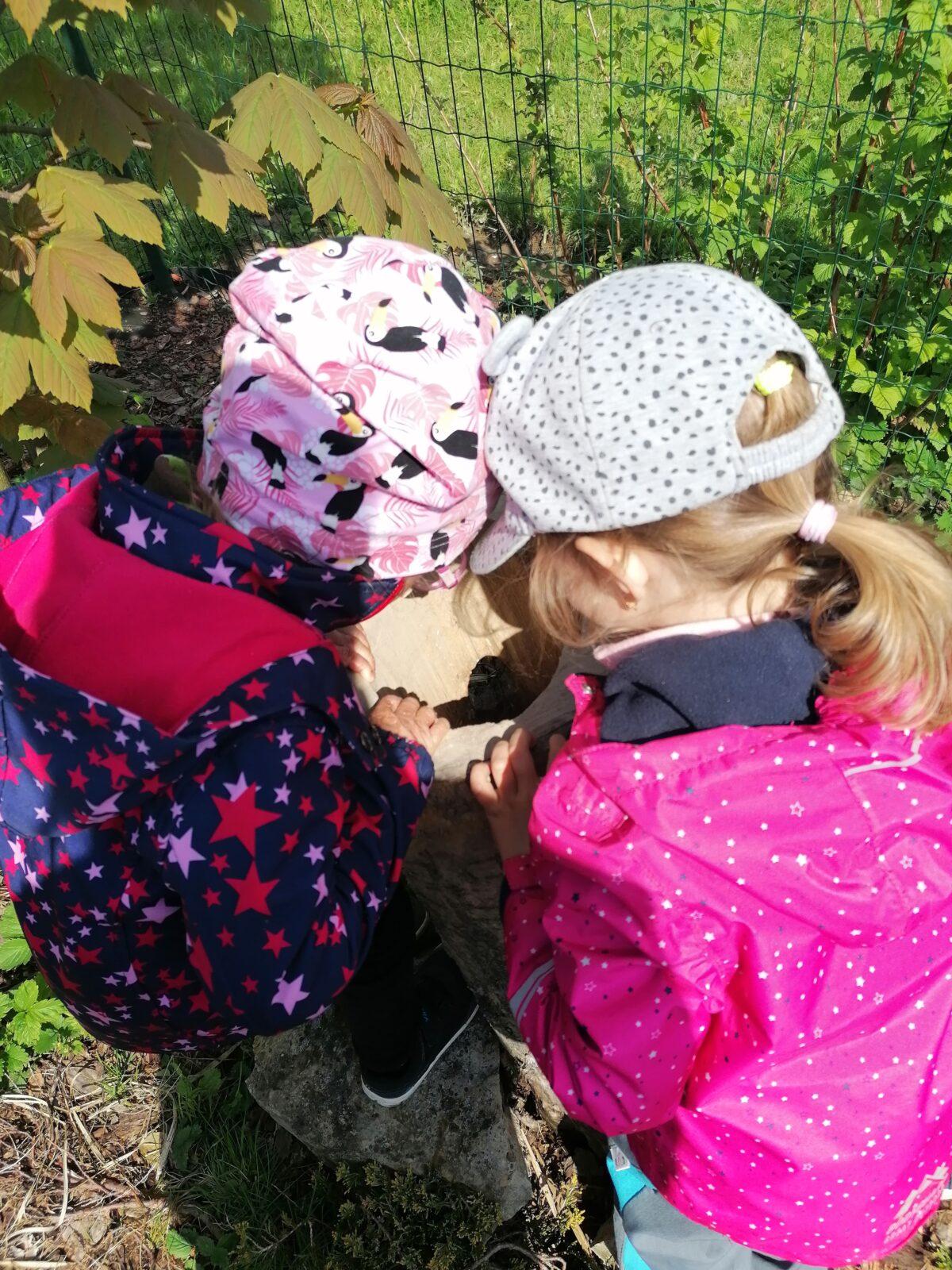 Vycházka "máme rádi zvířata" - 51