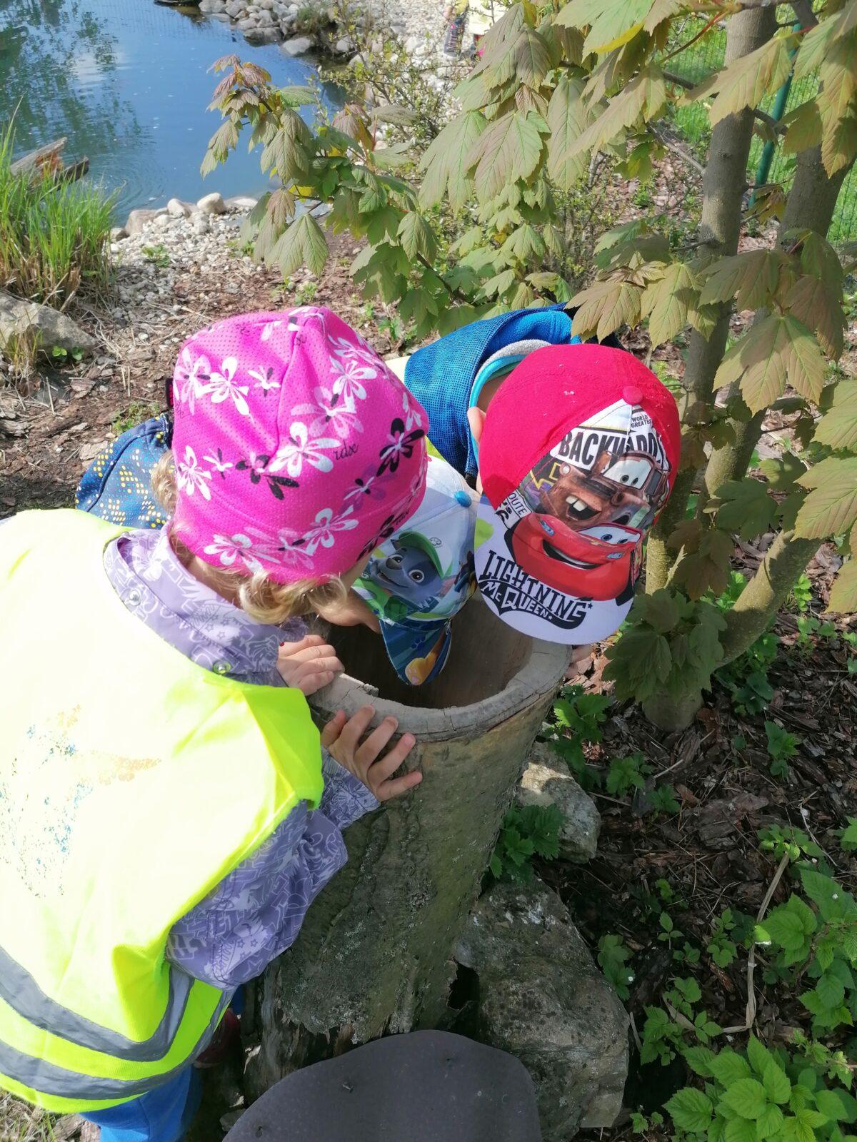 Vycházka "máme rádi zvířata" - 52